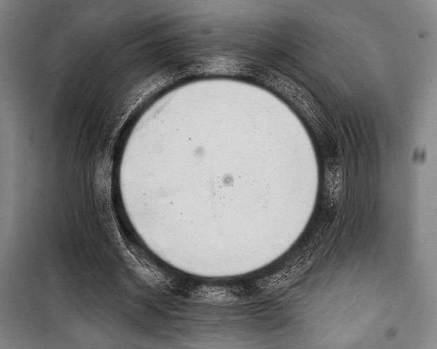 X0000100330534200806051536