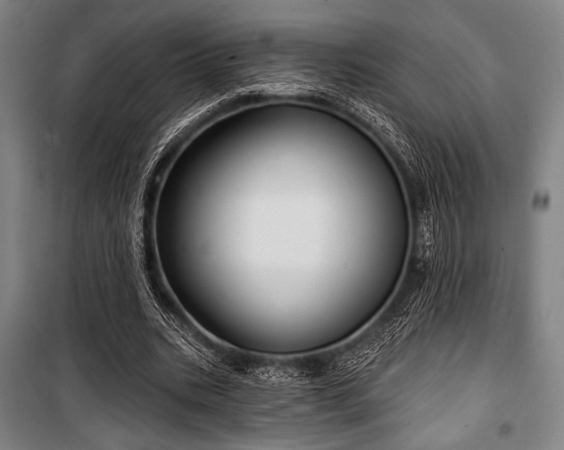 X0000100330535200806051536