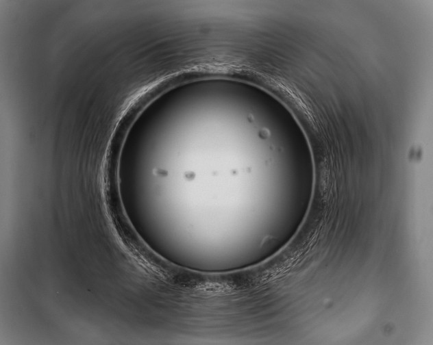 X0000100330536200806051536