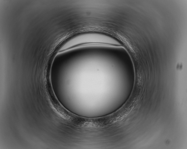 X0000100330538200806051536