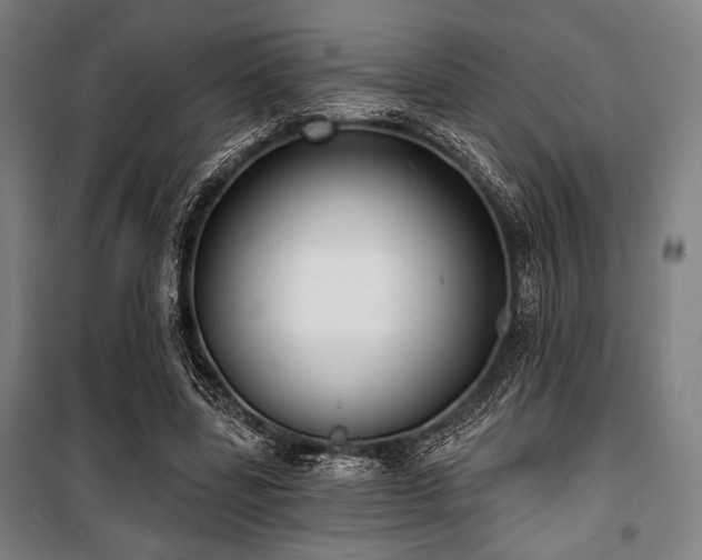 X0000100330539200806051536