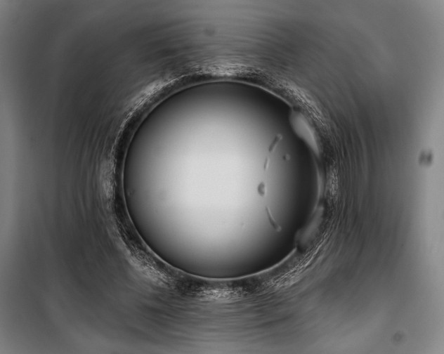 X0000100330540200806051536