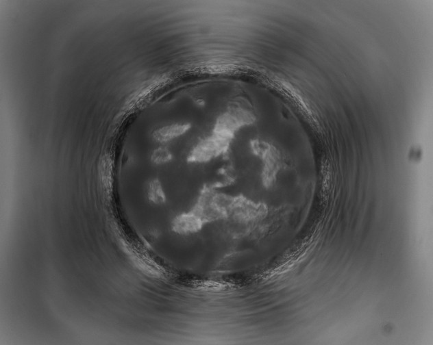 X0000100330542200806051536