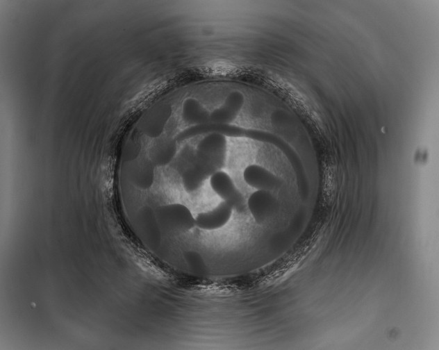 X0000100330545200806051536