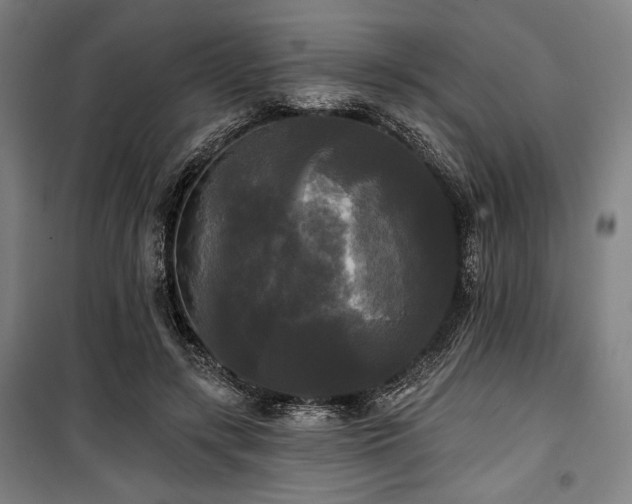 X0000100330547200806051536