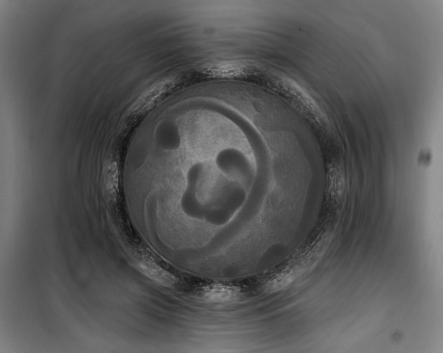 X0000100330549200806051537