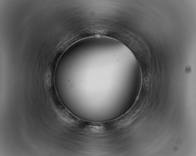 X0000100330552200806051537