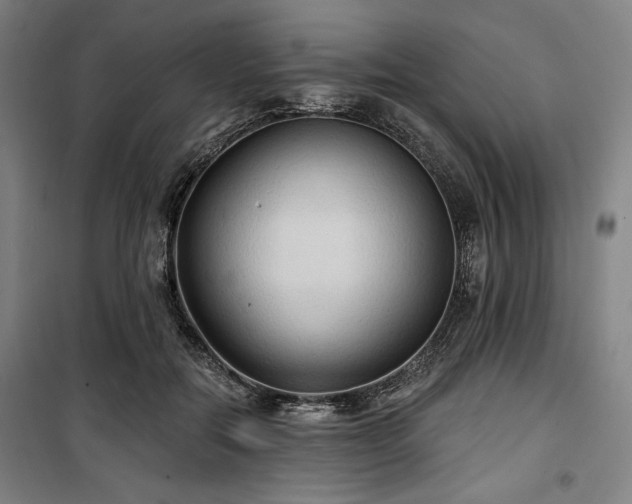 X0000100330554200806051537