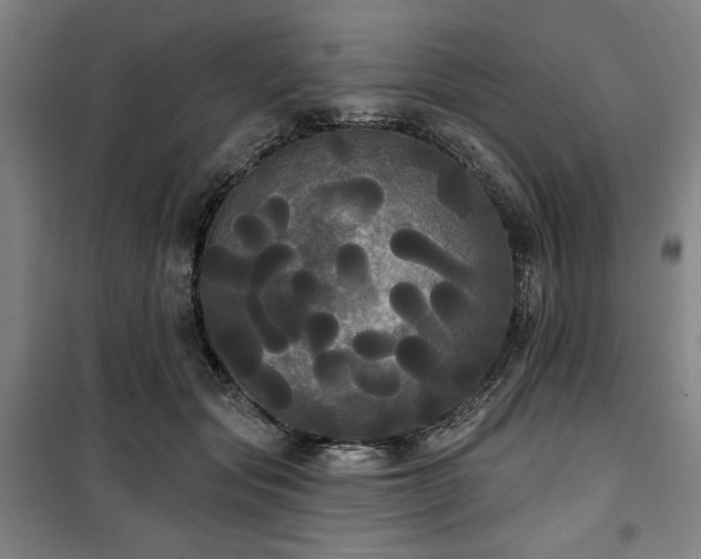 X0000100330557200806051537