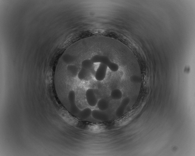 X0000100330561200806051537