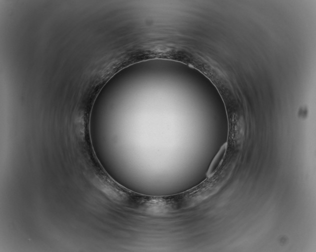 X0000100330562200806051537