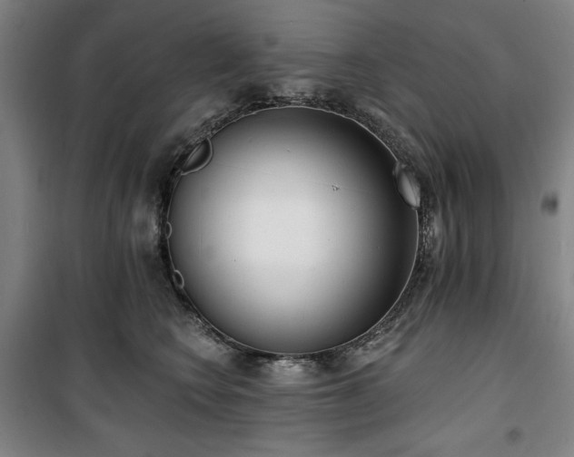 X0000100330566200806051537