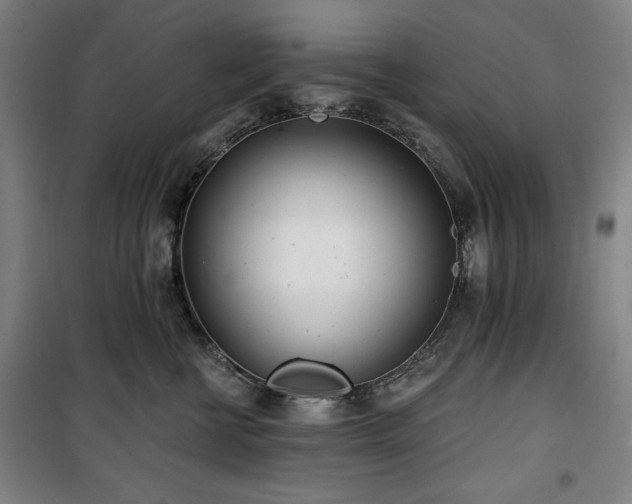 X0000100330570200806051537