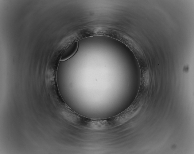 X0000100330571200806051537