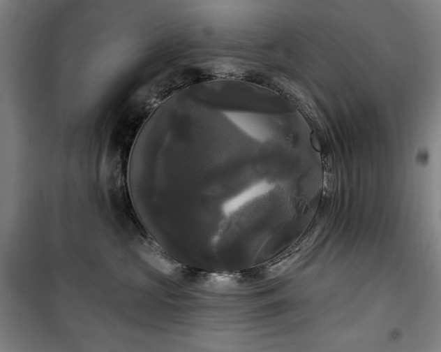 X0000100330573200806051537