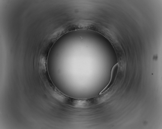 X0000100330575200806051537