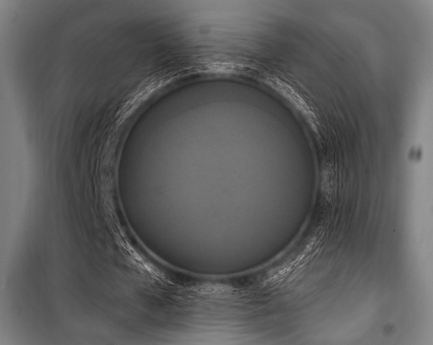 X0000100330577200806051536