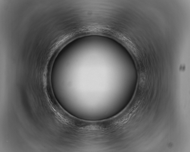 X0000100330578200806051536