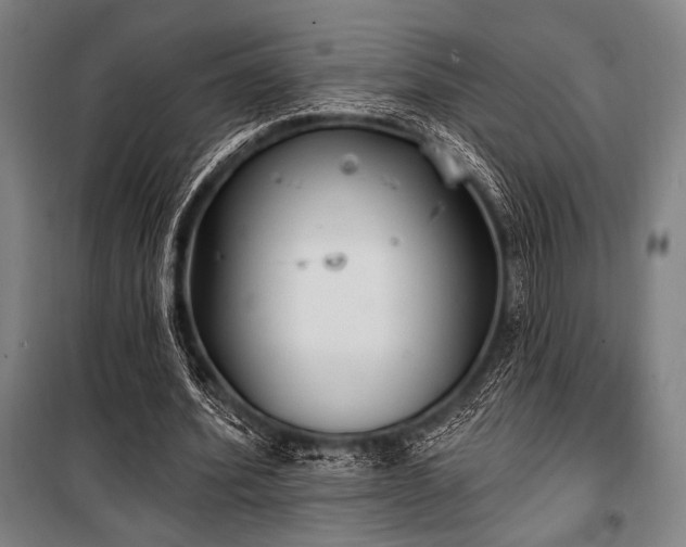 X0000100330580200806051536