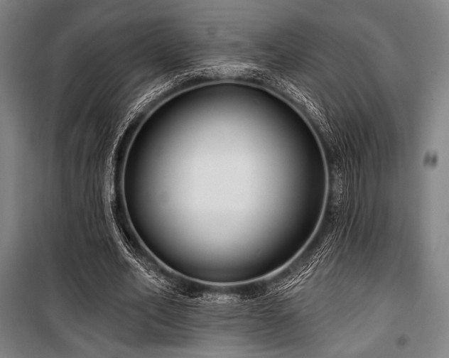 X0000100330582200806051536