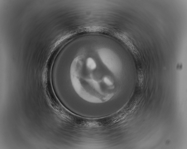 X0000100330583200806051536