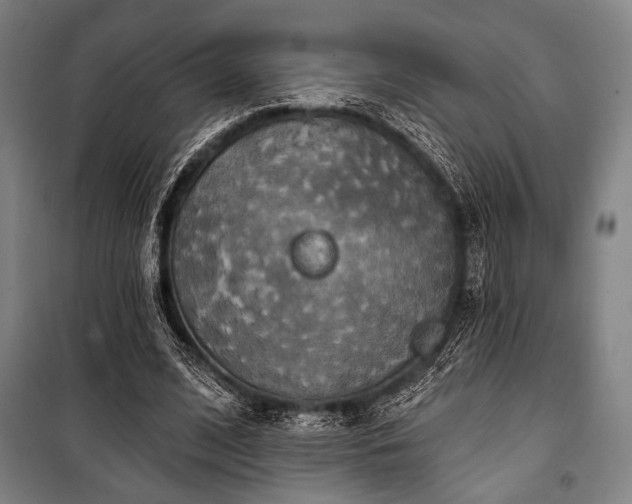 X0000100330584200806051536