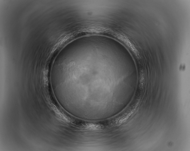 X0000100330585200806051536