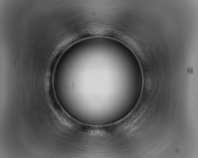 X0000100330586200806051536