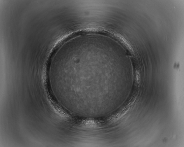 X0000100330588200806051536