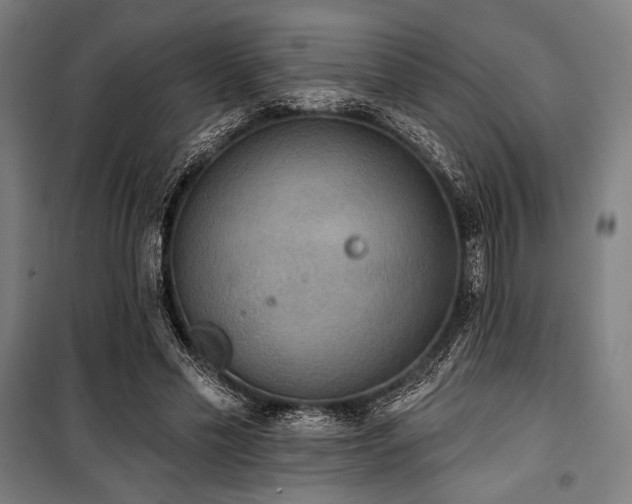 X0000100330589200806051536