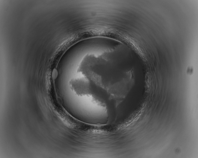 X0000100330590200806051536