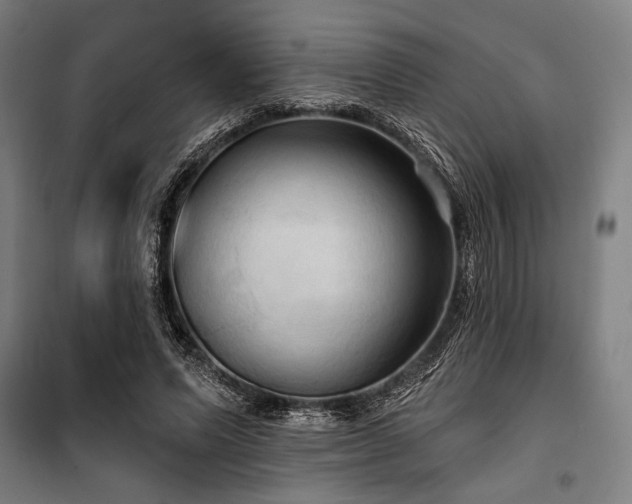 X0000100330591200806051536