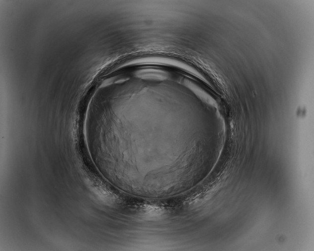 X0000100330592200806051536