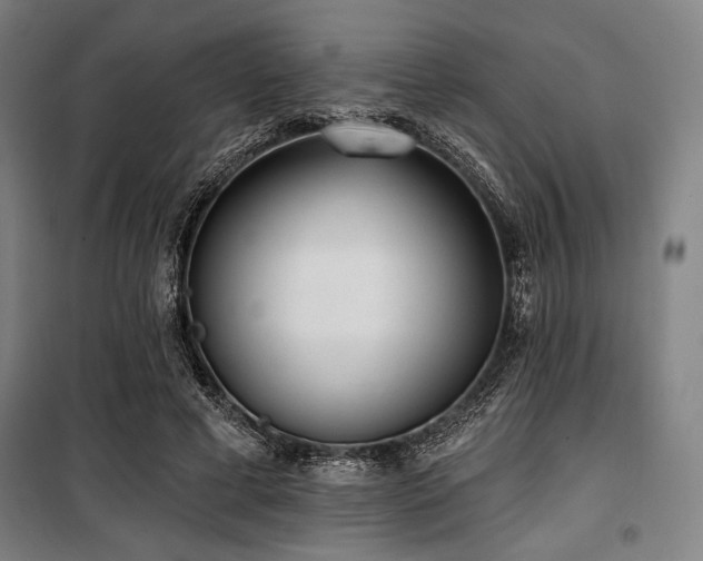 X0000100330593200806051536