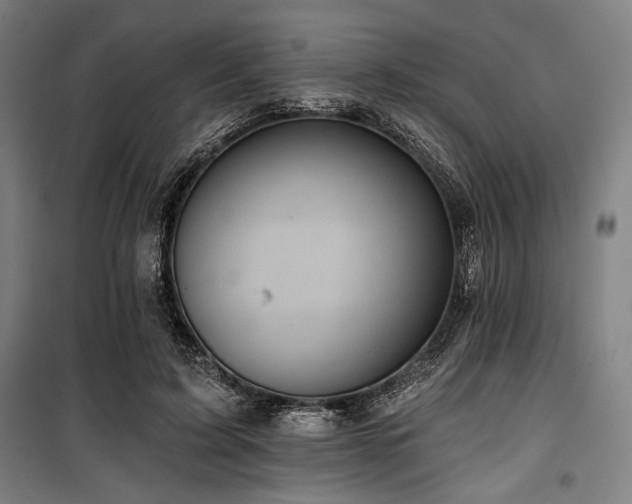 X0000100330595200806051536