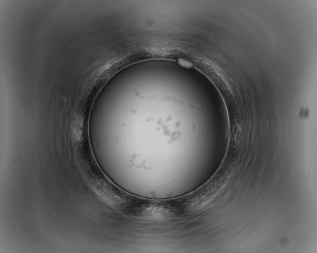 X0000100330596200806051536