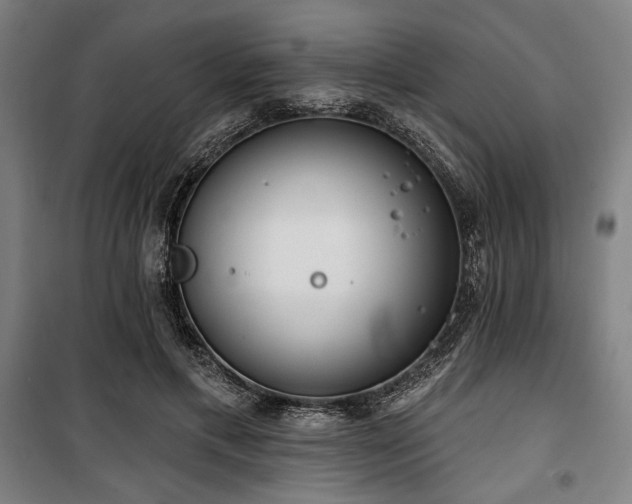 X0000100330597200806051536