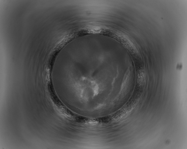 X0000100330598200806051536