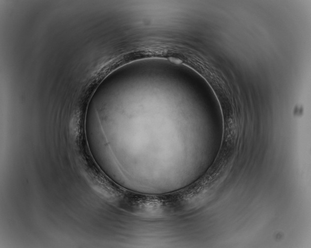 X0000100330600200806051536