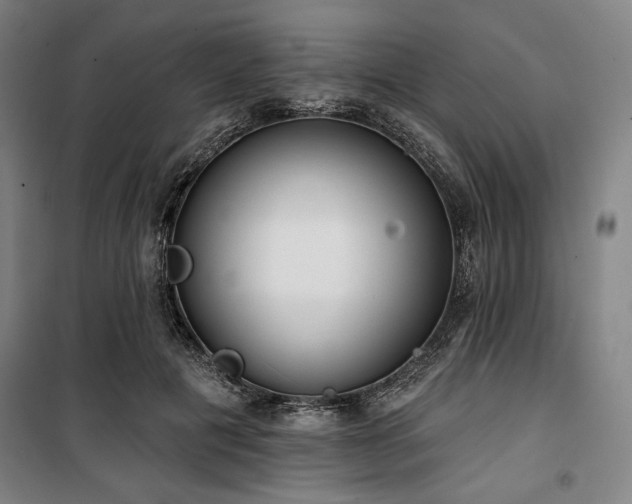 X0000100330601200806051536