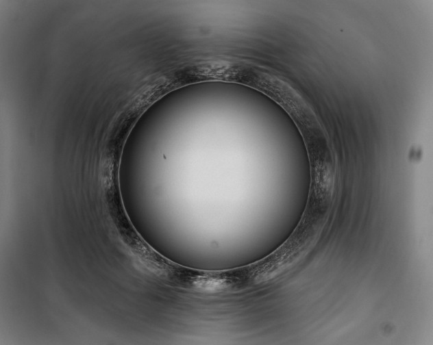 X0000100330602200806051536