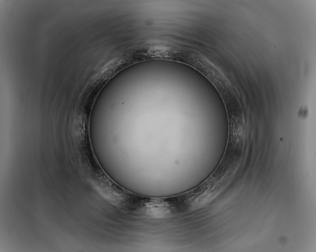 X0000100330603200806051536