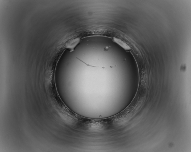 X0000100330604200806051536