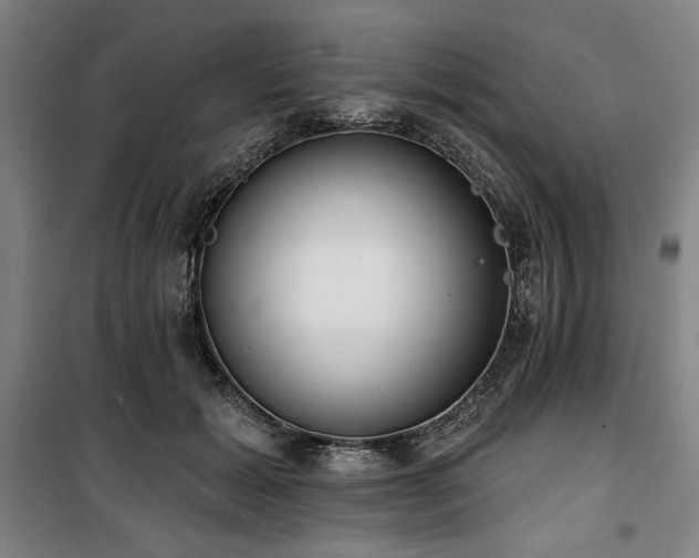 X0000100330605200806051536