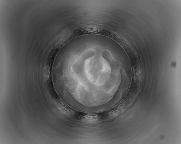 X0000100330606200806051536