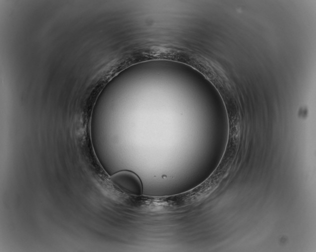 X0000100330607200806051536