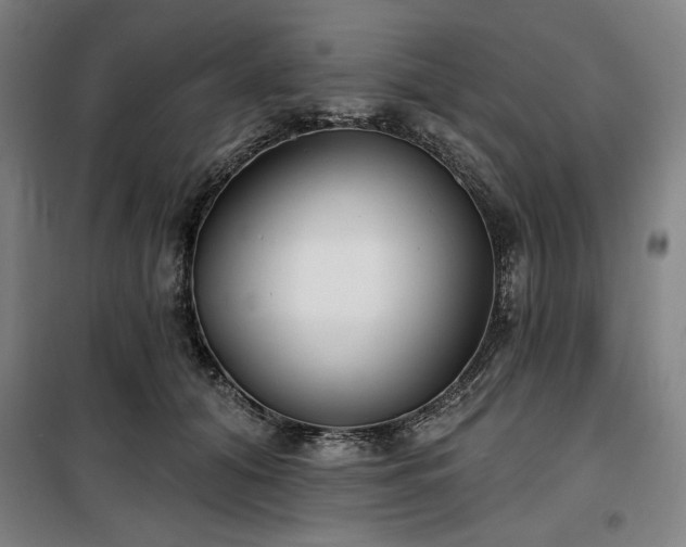 X0000100330608200806051536