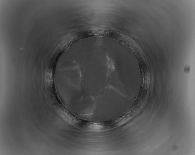 X0000100330610200806051536