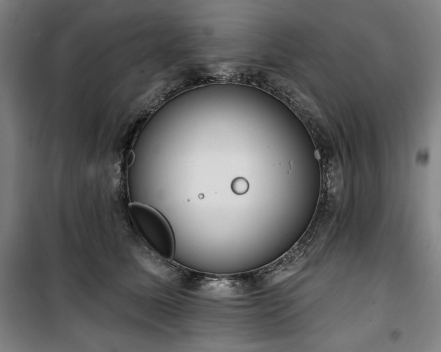 X0000100330611200806051536