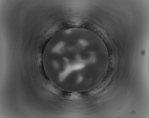 X0000100330612200806051536